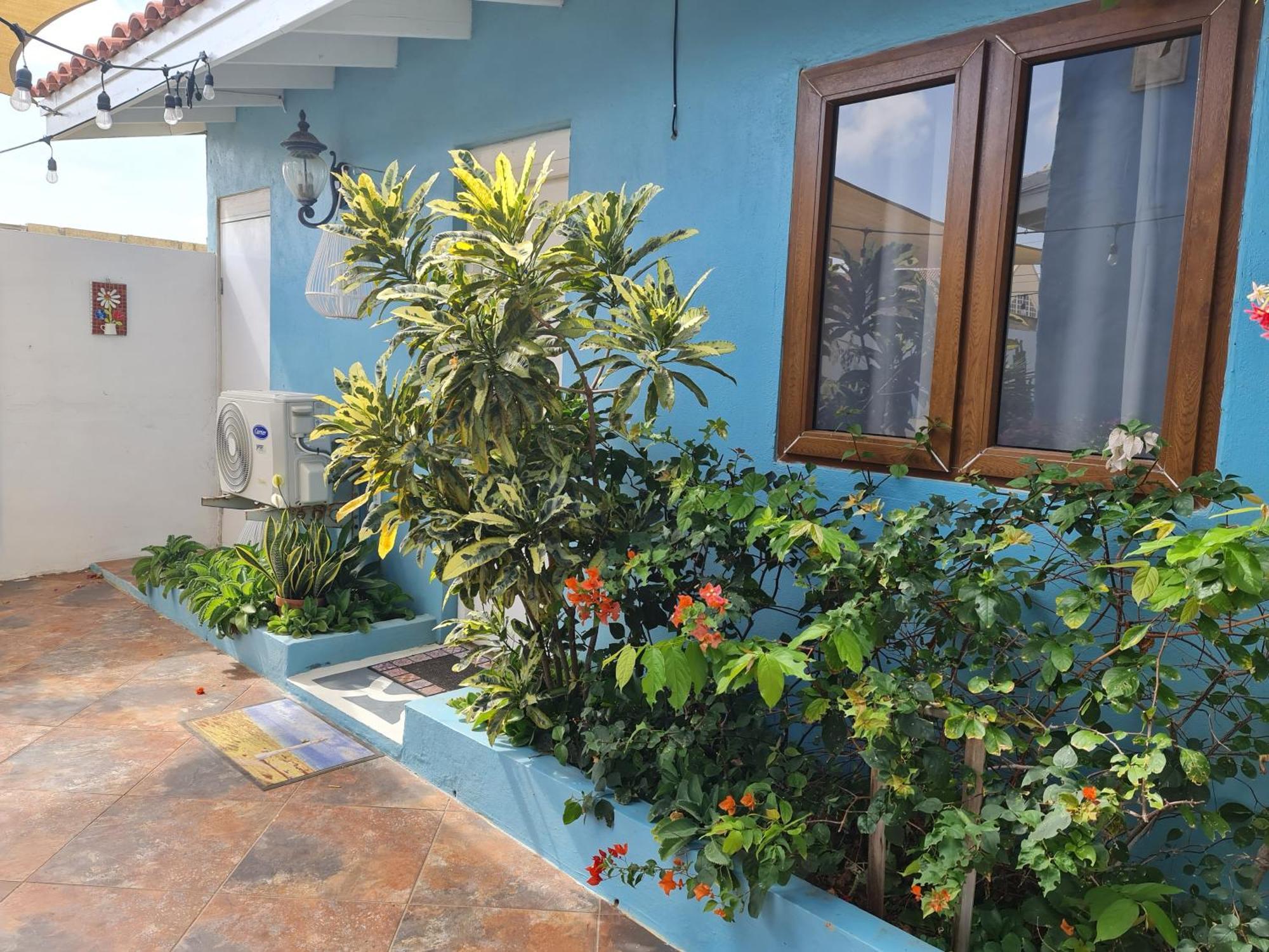 פאלם ביץ' Sandcastle Beach Apartments מראה חיצוני תמונה