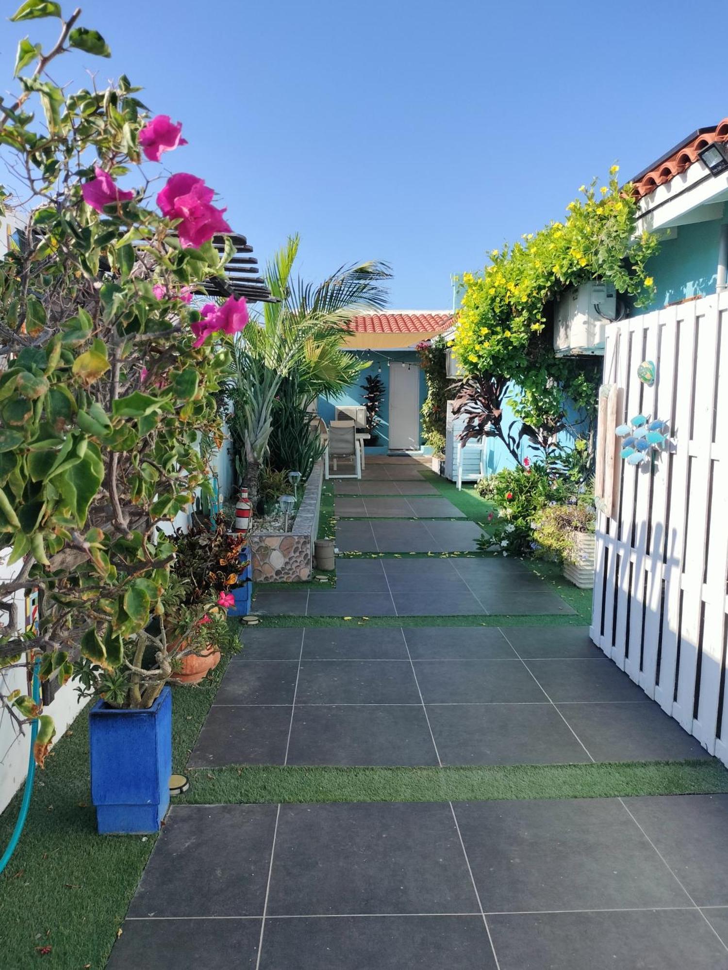 פאלם ביץ' Sandcastle Beach Apartments מראה חיצוני תמונה