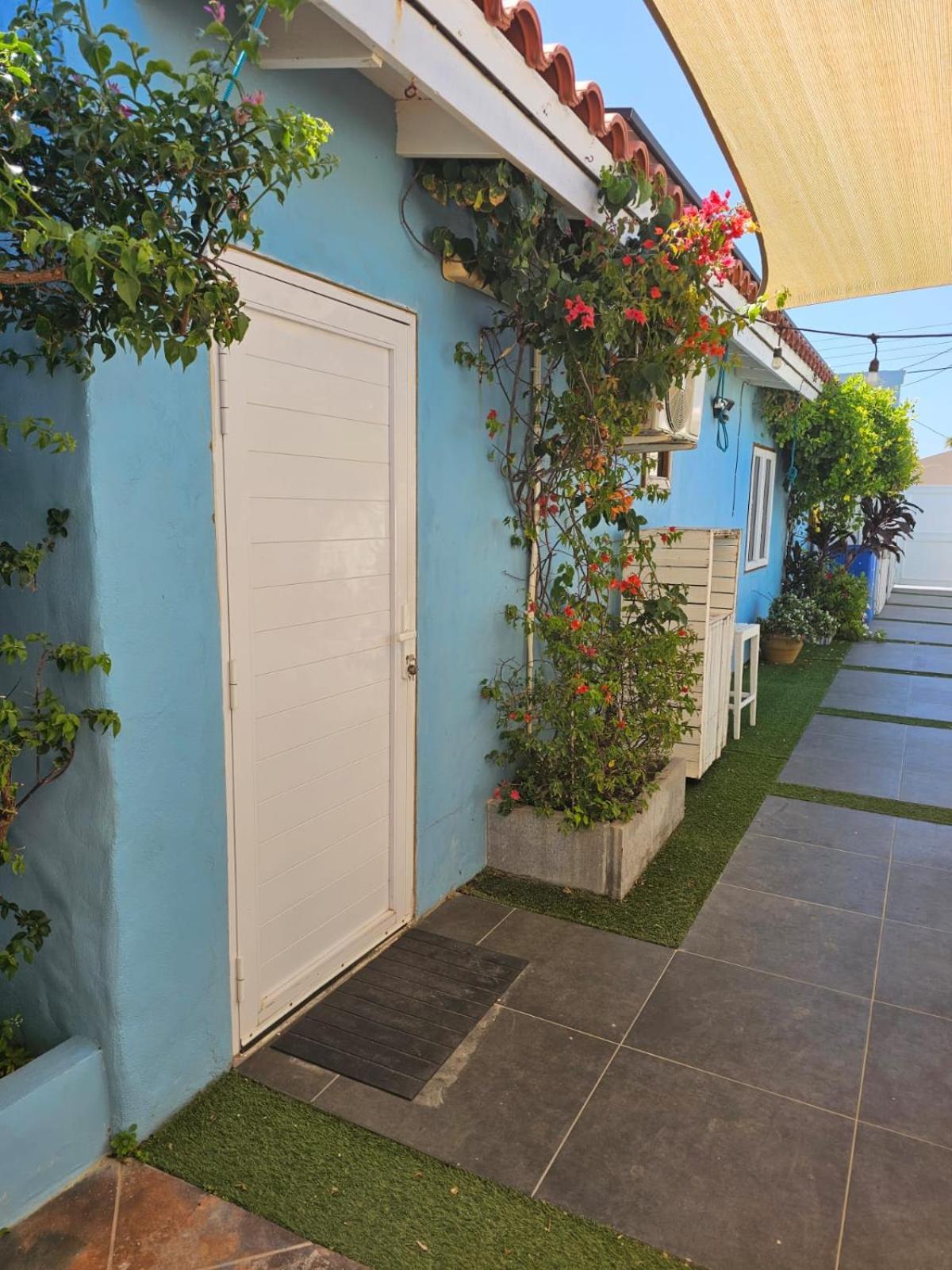 פאלם ביץ' Sandcastle Beach Apartments מראה חיצוני תמונה