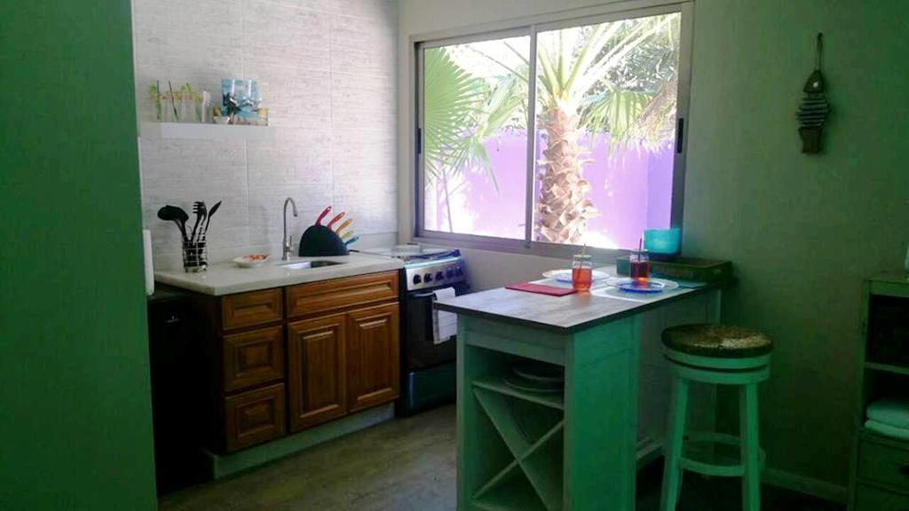 פאלם ביץ' Sandcastle Beach Apartments מראה חיצוני תמונה