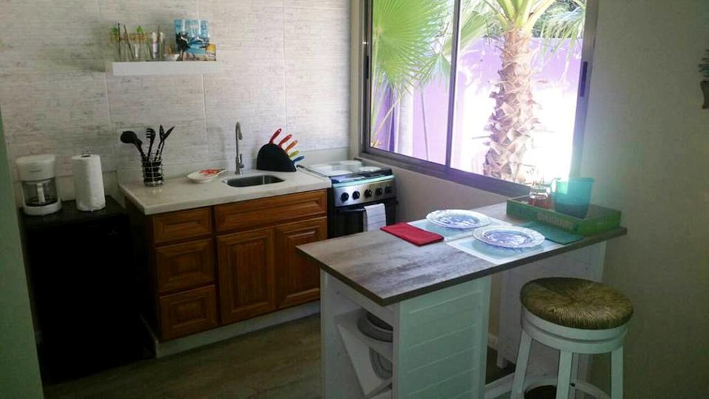 פאלם ביץ' Sandcastle Beach Apartments מראה חיצוני תמונה