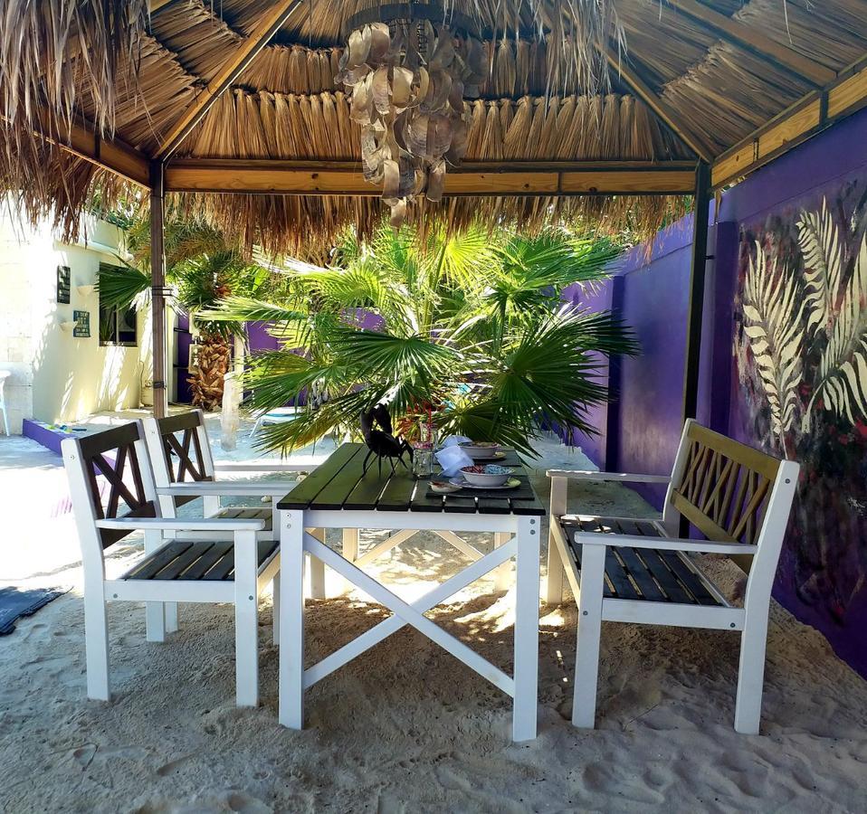 פאלם ביץ' Sandcastle Beach Apartments מראה חיצוני תמונה